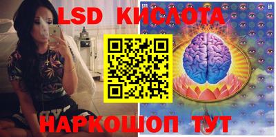 PSILOCYBIN Камышлов