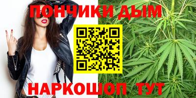 PSILOCYBIN Камышлов