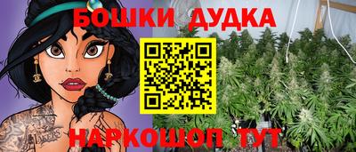 PSILOCYBIN Камышлов