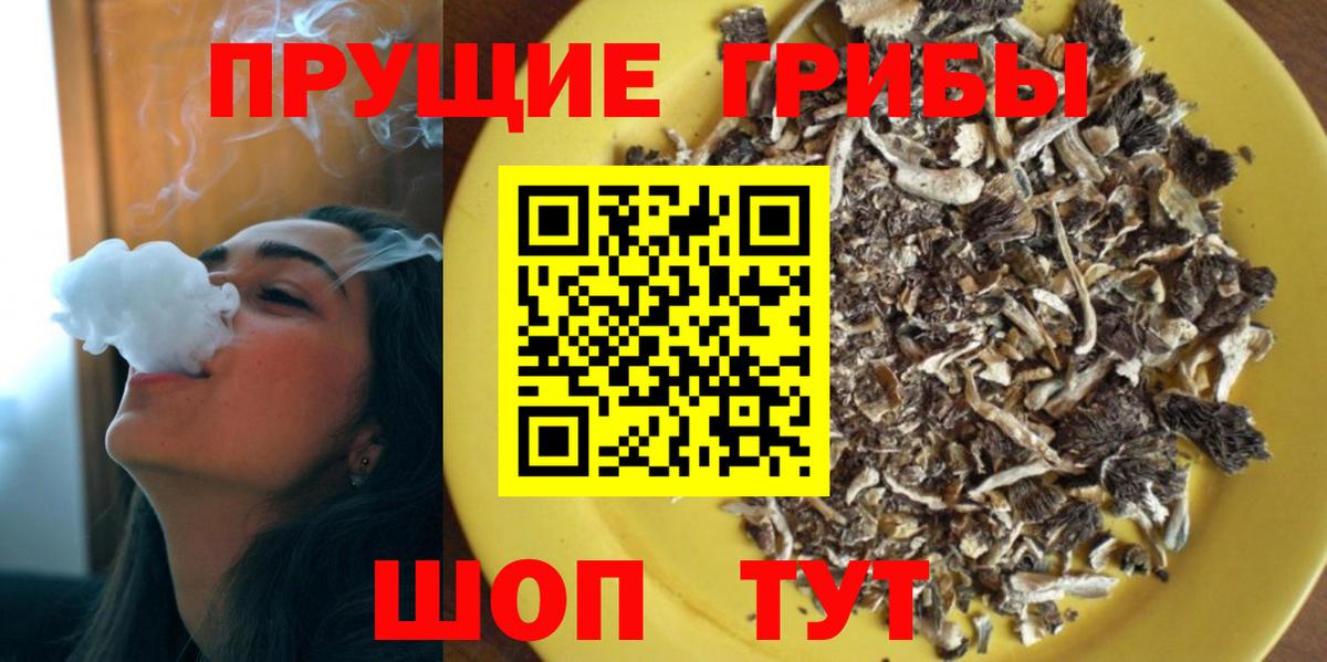 Галлюциногенные грибы мухоморы Лесозаводск